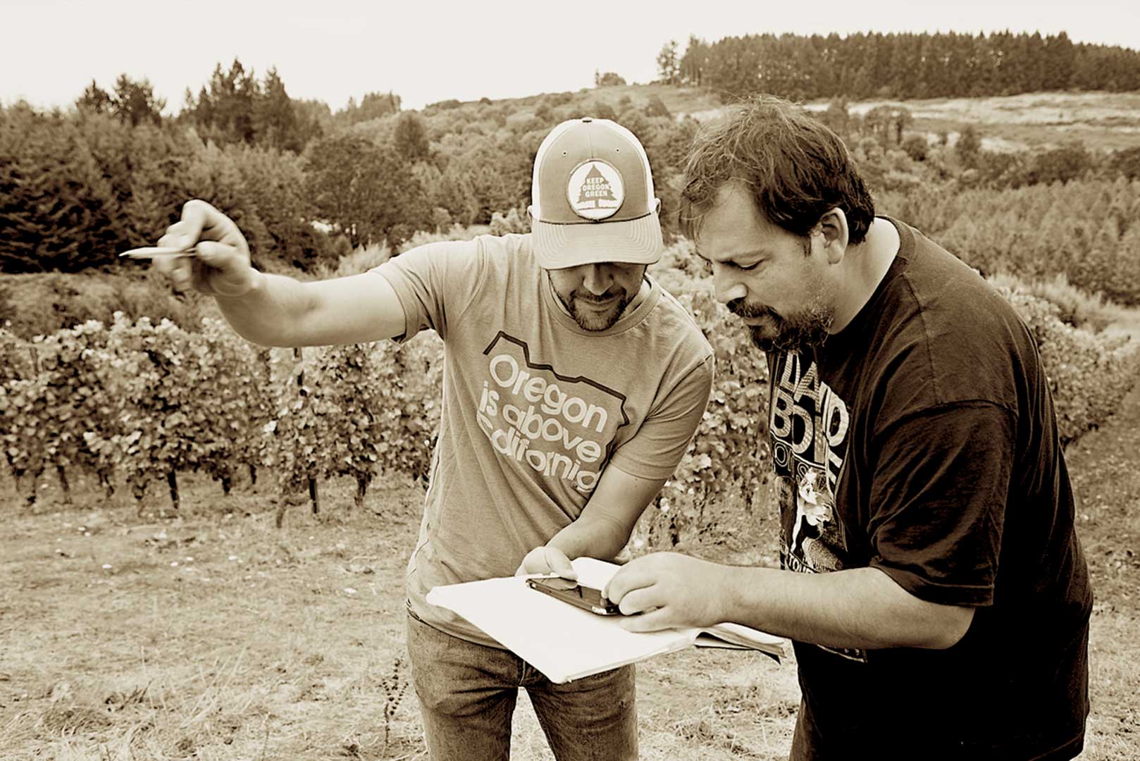 Field session with a client in the vineyard