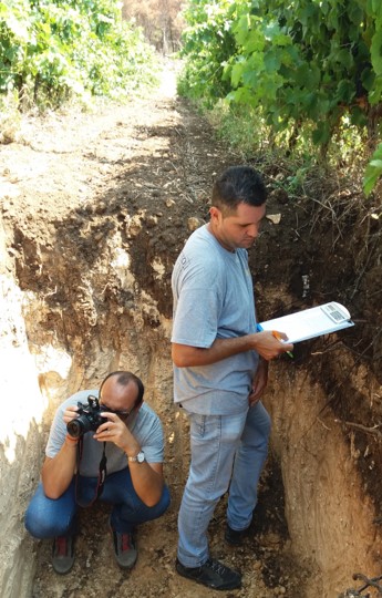 Documenting a soil profile in a trench