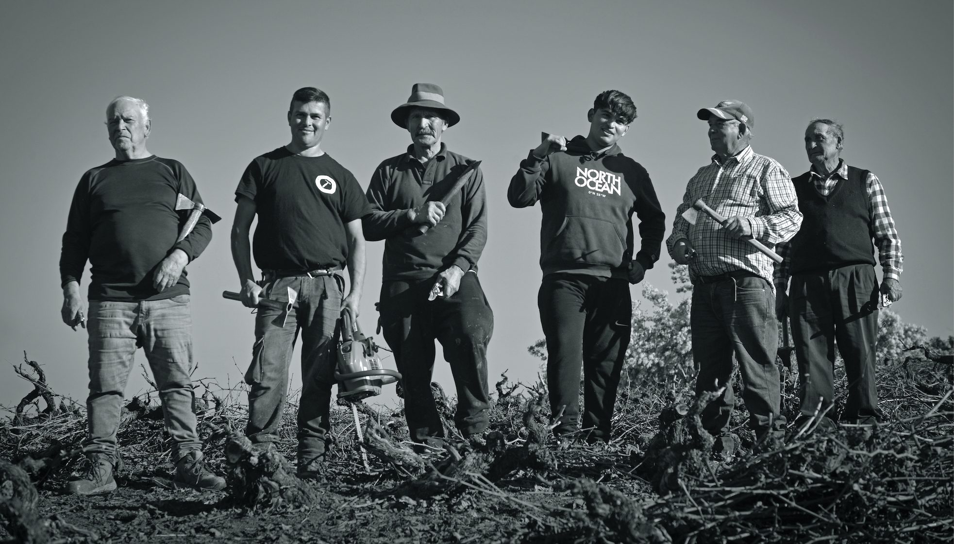 The vineyard team