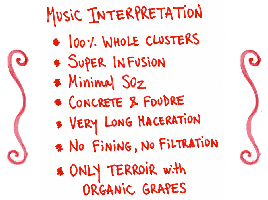 Music interpretation: 100% whole clusters, super infusion, minimal SO2, concrete and foudre, very long maceration, no fining no filtration, only terroir with organic grapes