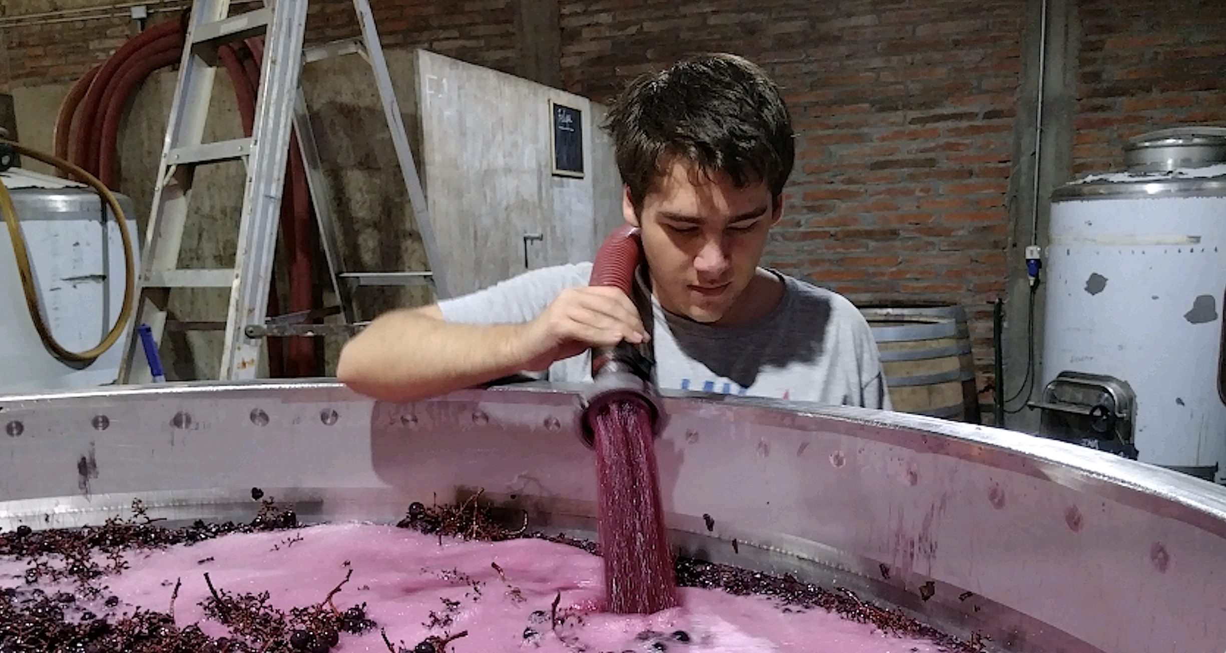 Punch-down during fermentation