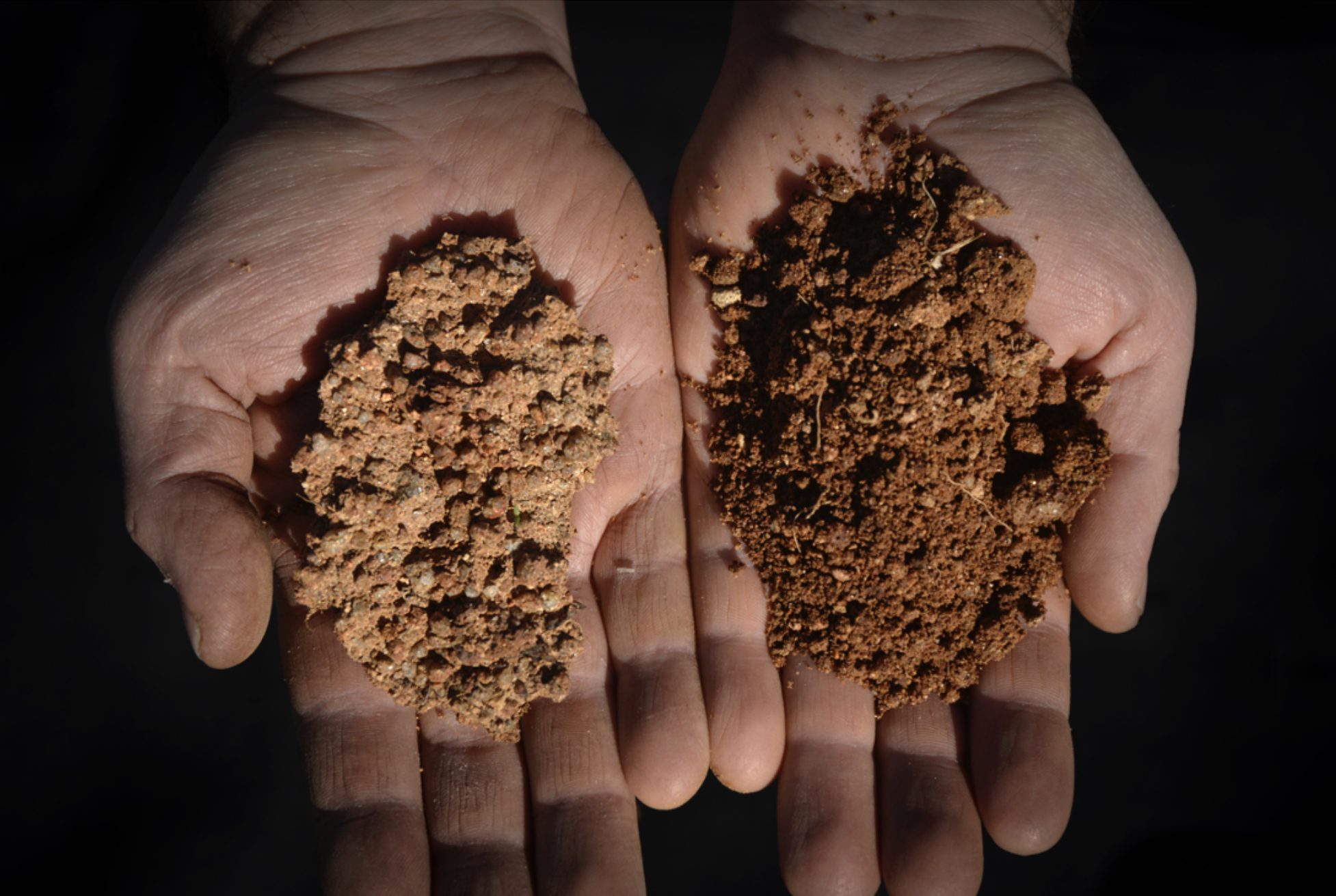 Two soil samples in hands