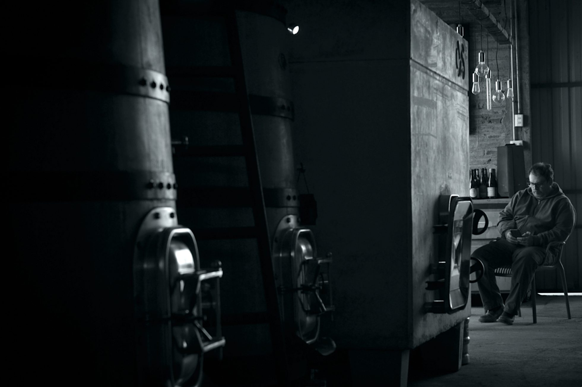 Pedro Parra in the winery