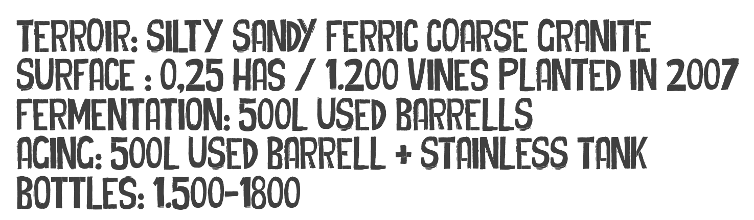 FOOTPRINTS — terroir, surface, fermentation, aging and bottles