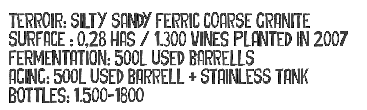RESOLUTION — terroir, surface, fermentation, aging and bottles
