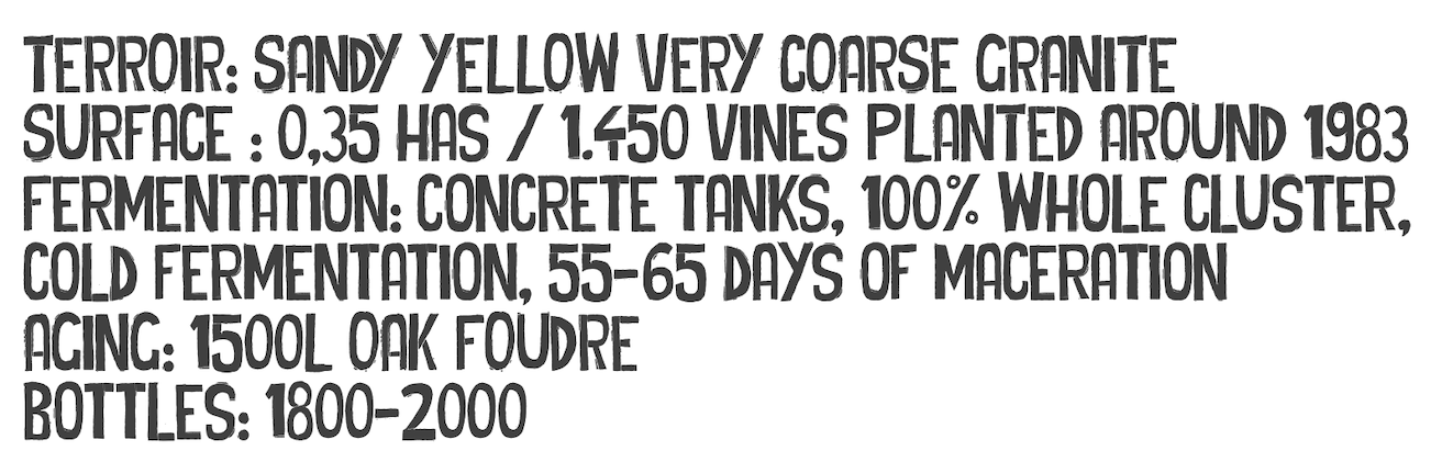 SONNY — terroir, surface, fermentation, aging and bottles